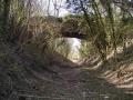 Abbey Barn Lane