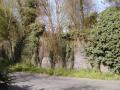 Bassetsbury Lane