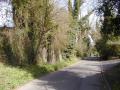 Bassetsbury Lane